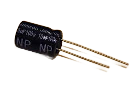 Polarized Capacitors