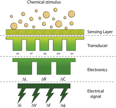 Chemical Sensors